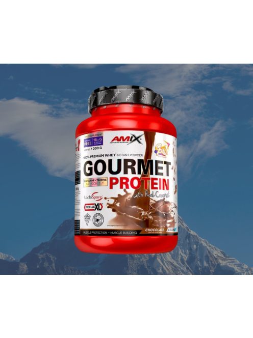 Amix Nutrition Gourmet Protein / 1000 g