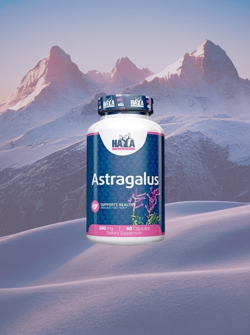 Haya Labs - Astragalus 500 mg kapszula
